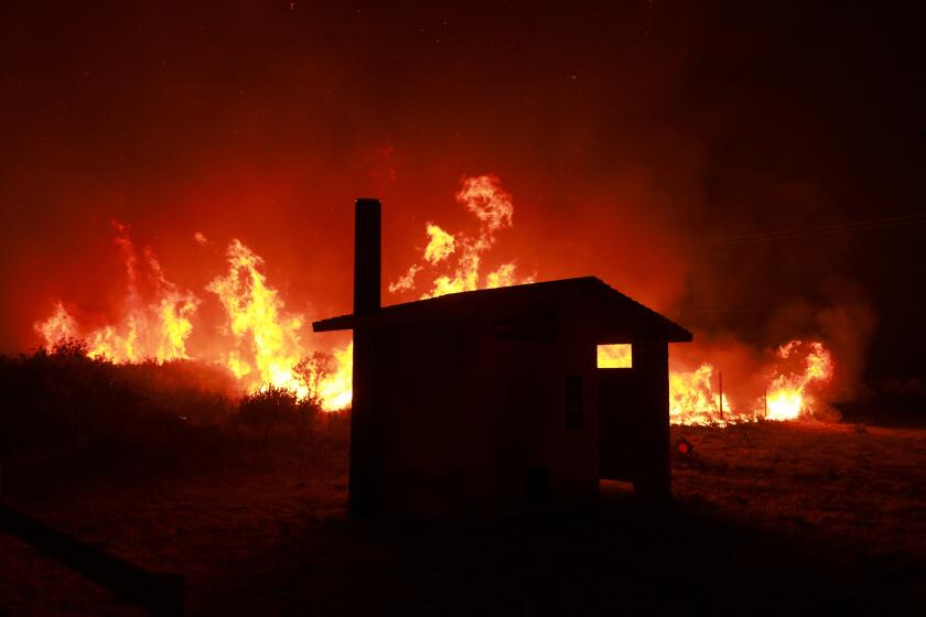 The Post Fire burns through the Hungry Valley State Vehicular Recreation Area in Lebec, California, on June 16, 2024. The fire has grown to 4,400 acres, with evacuation orders in place for Gorman, Pyramid Lake and Hungry Valley State Vehicular Recreation Area, according to the US Department of Agriculture Forest Service at Los Padres National Forest. (Photo by DAVID SWANSON / AFP) (Photo by DAVID SWANSON/AFP via Getty Images)