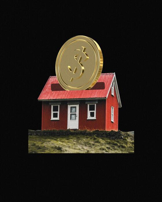 Illustration of a coin going into a piggy bank house 